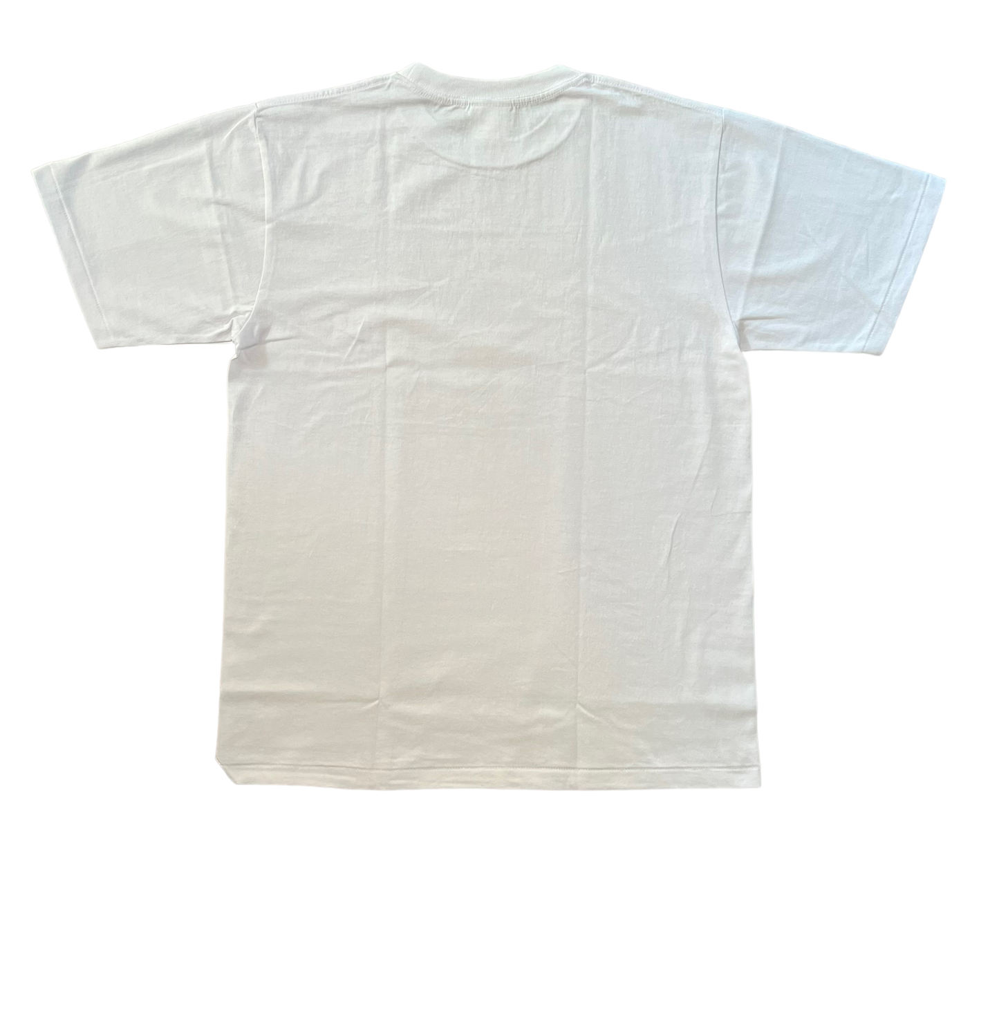 Bape Check College Tee