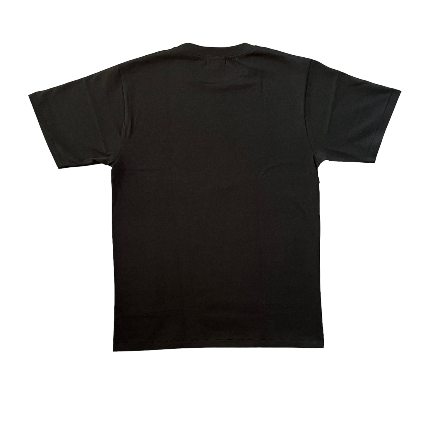 Bape Check College Tee
